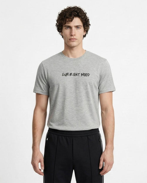 Ravin "Current Mood" Graphic T-Shirt – Heather Grey - R216567