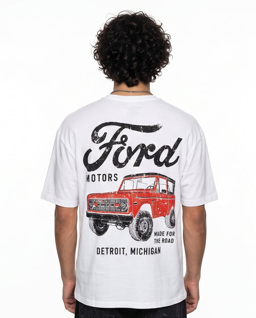 r219625b.jpeg