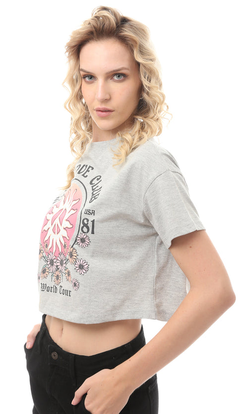 تيشيرت قصير مطبوع هيذر رمادي