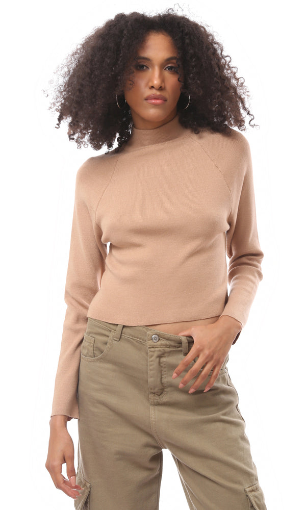 O171608 Dark Nude Regular Fit Ribbed Basic Pullover