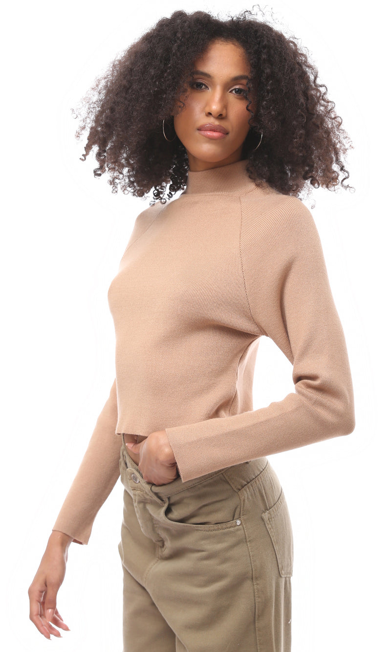 O171608 Dark Nude Regular Fit Ribbed Basic Pullover