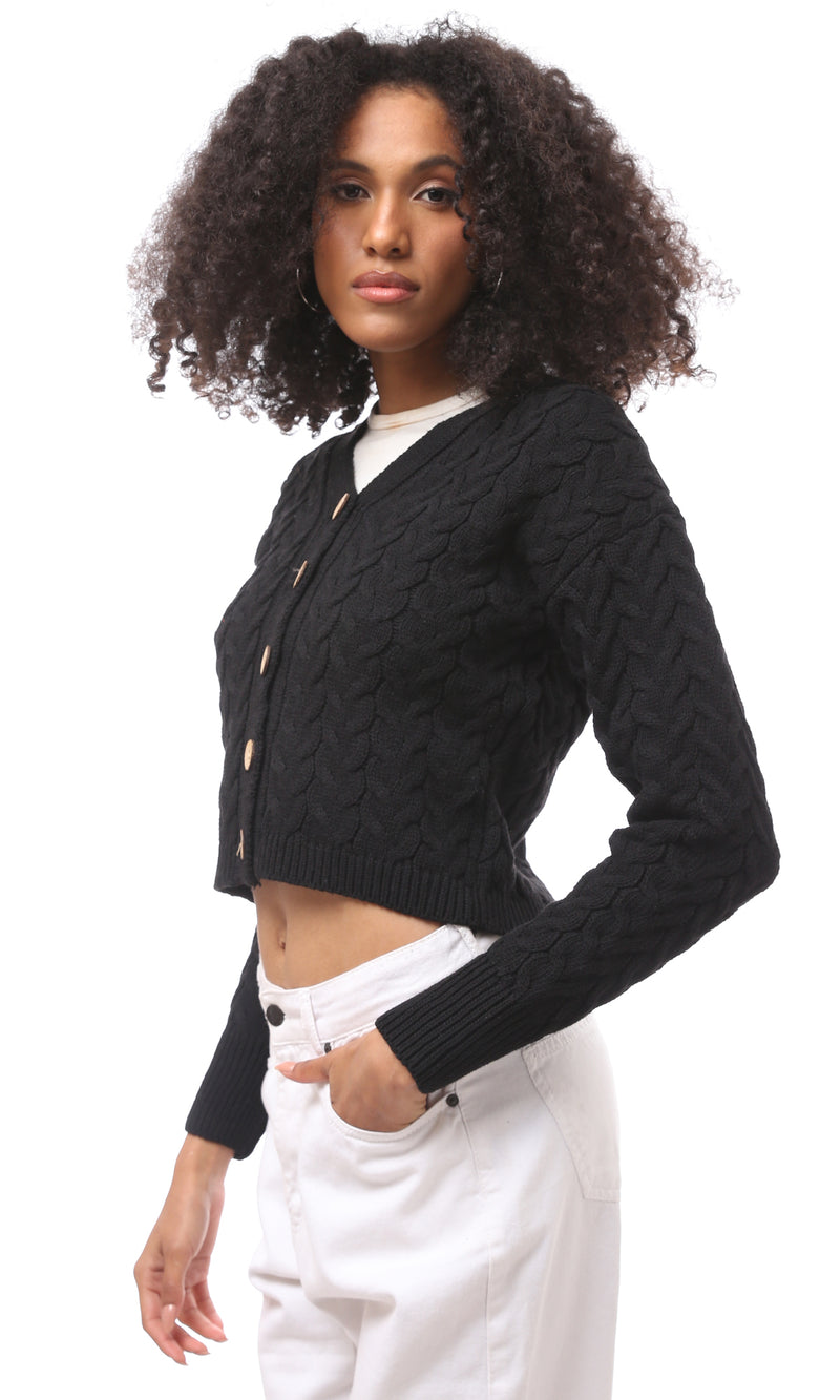 O172547-W23W390-BLACK (CAR)