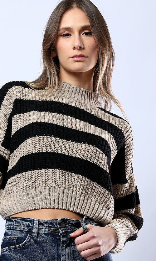 O175535 Striped Dark Beige & Black Pullover With High-Neck