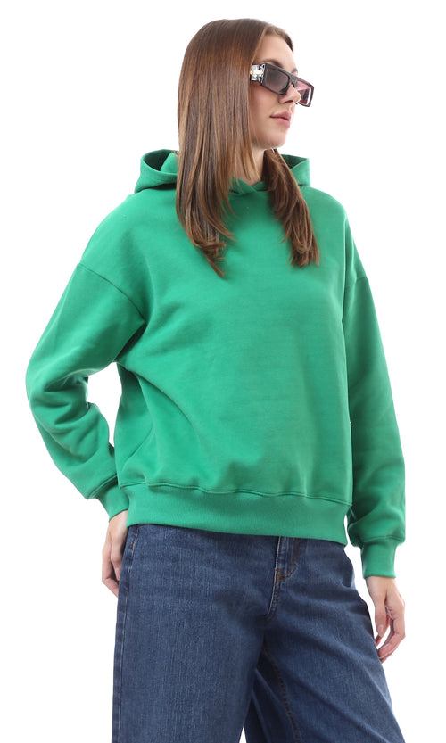 O176243-W21W310-GREEN (WSW)