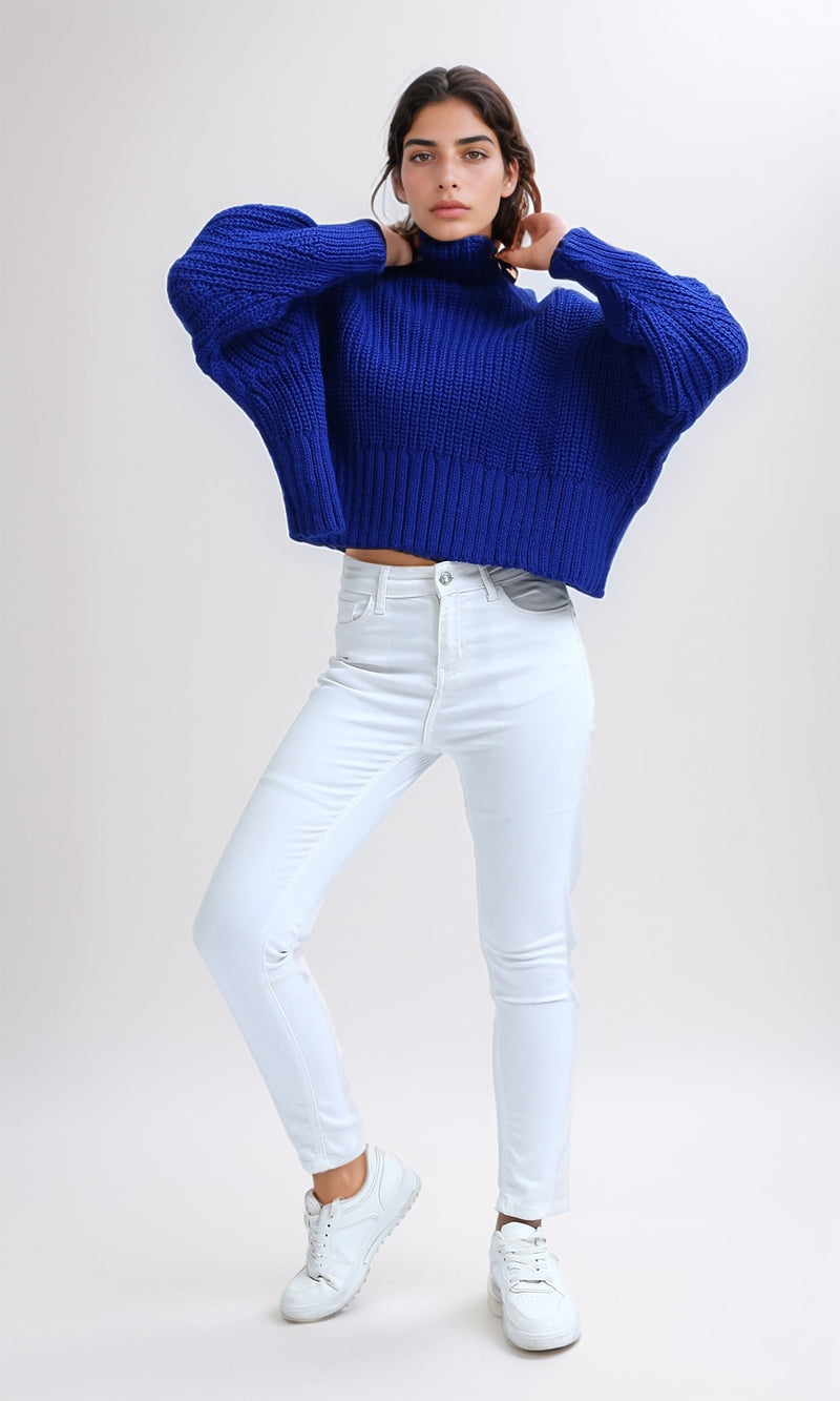 o192829-w24w322-blue-wpl