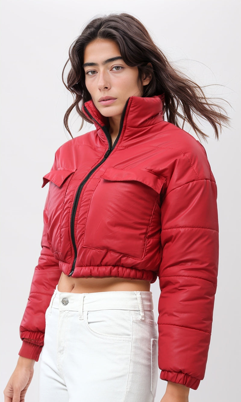 O199029-W23W319-W.RED (WJK)