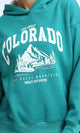 O202175 - Regular Fit Printed Winter Hoodie - Heather Green