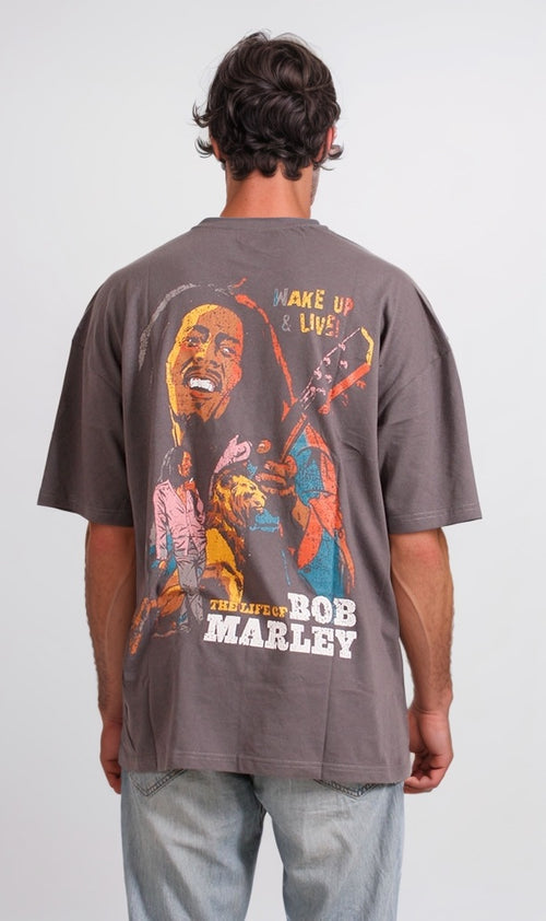 O203261-S21M700-GREY (MST)