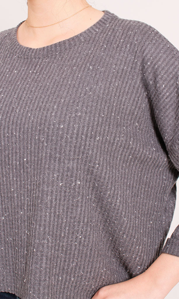 R204597-S20W379-D.GREY (WLT)