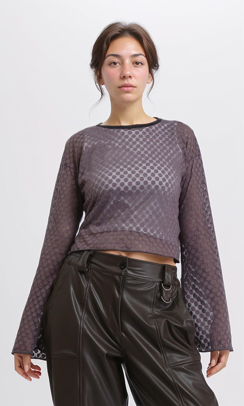 R204604 - Polka Dots Sheer Long Sleeves Top - Dark Grey