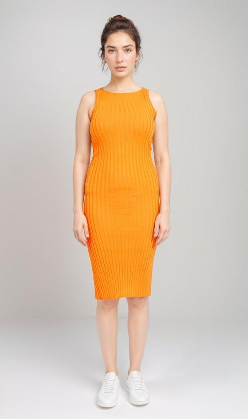 R204693-S25W319--ORANGE (WDR)