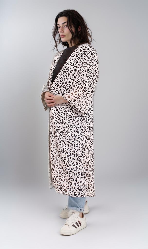 R206342-S22W619-أسود (سيارة)