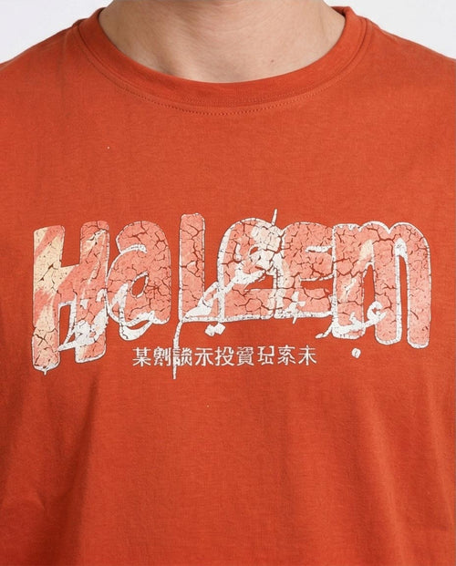 Ravin | Haleem Graphic Oversized T-Shirt in Terracotta - R207067