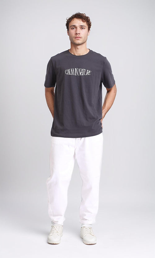 R208574 - Regular Fit Printed Slip On Tee - Dark Grey