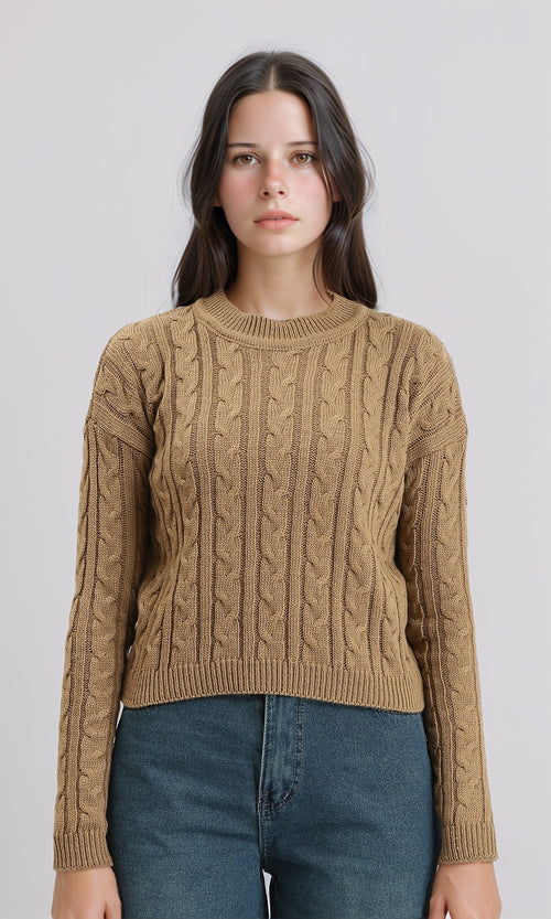 R212631 - Braided Knit Slip On Pullover - Coffee