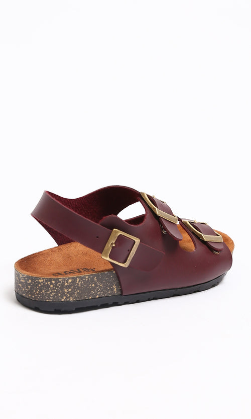 R212962-S25W567-BURG (WFW)