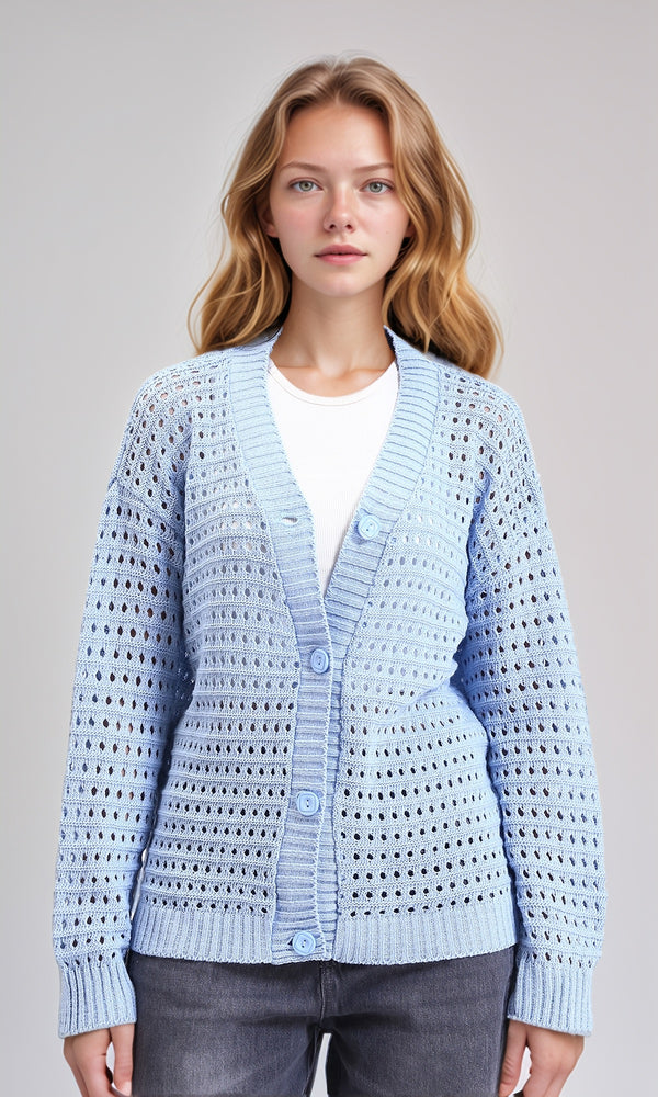 R213644-W25W396-ciel bleu (voiture)