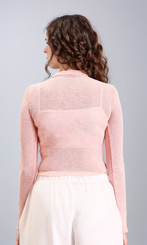 R213772 - Long Sleeves Mock Neck Sheer Top - Light Simon