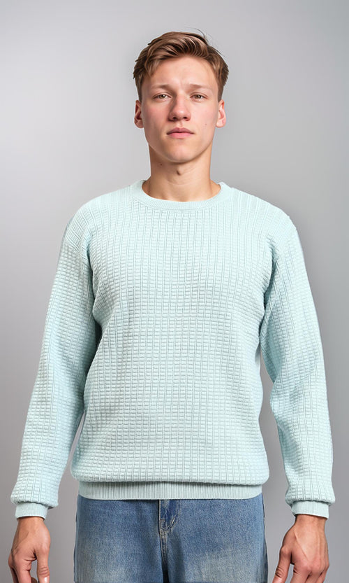 R214480 - Slip On Regular Fit Textured Sweater - Light Mint