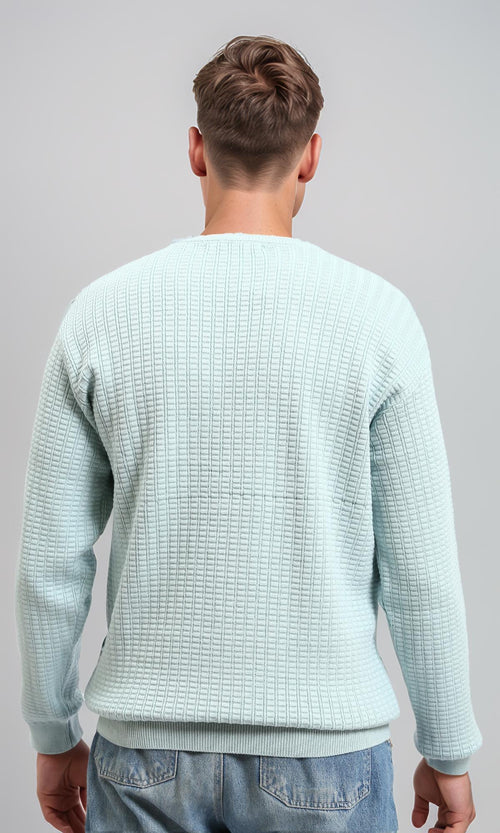 R214480 - Slip On Regular Fit Textured Sweater - Light Mint