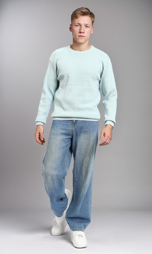 R214480 - Slip On Regular Fit Textured Sweater - Light Mint