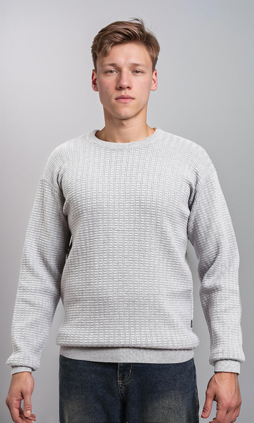 R214483 - Slip On Regular Fit Textured Sweater - Light Grey