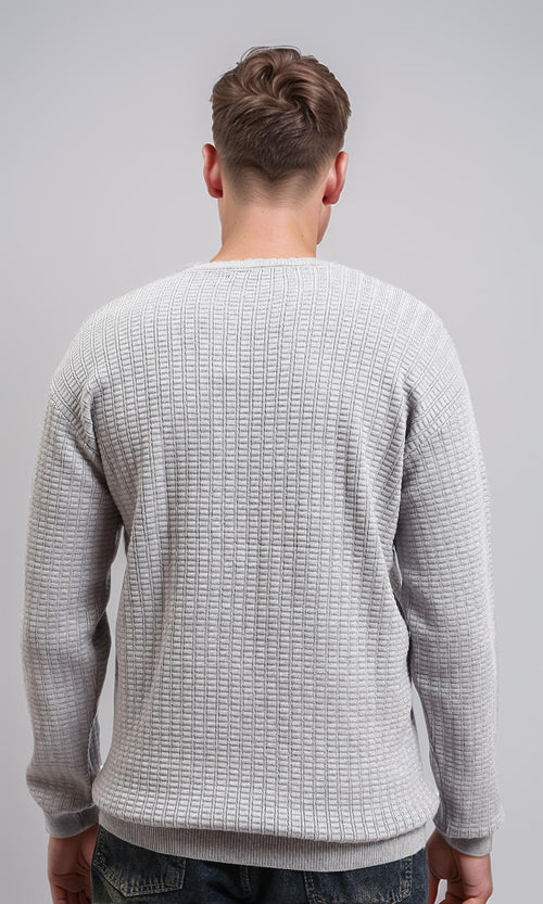 R214483 - Slip On Regular Fit Textured Sweater - Light Grey