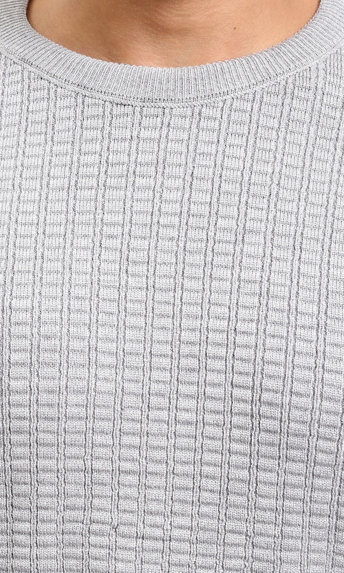 R214483 - Slip On Regular Fit Textured Sweater - Light Grey