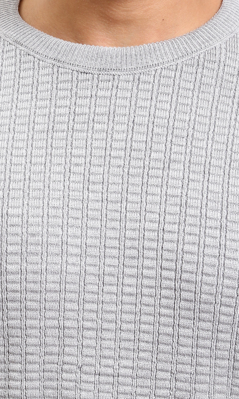 R214483 - Slip On Regular Fit Textured Sweater - Light Grey