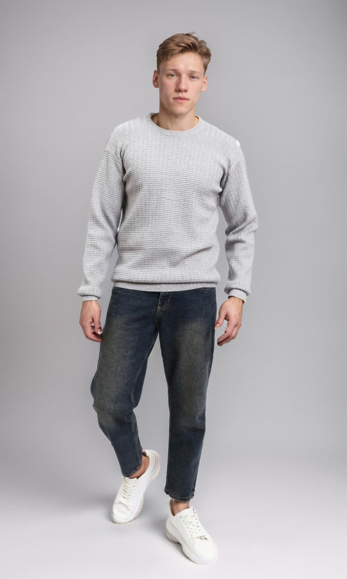 R214483 - Slip On Regular Fit Textured Sweater - Light Grey