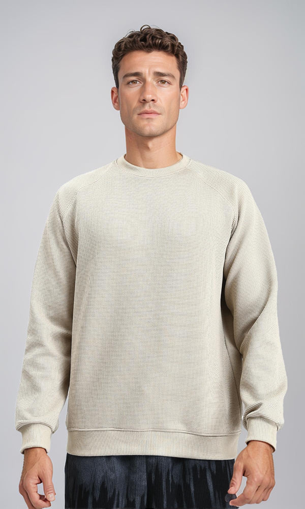 R214875 - Self Pattern Regular Fit Sweatshirt - Beige