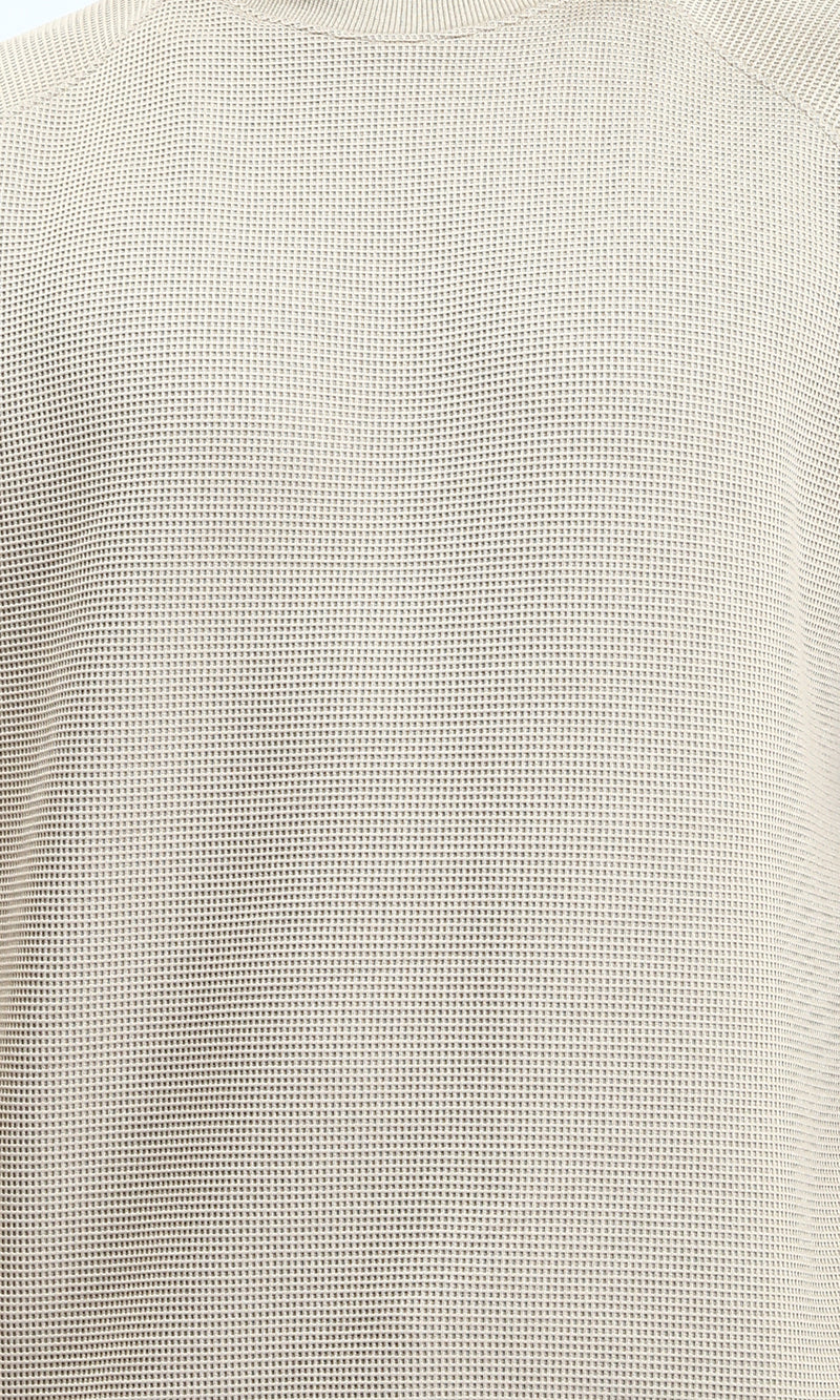 R214875 - Self Pattern Regular Fit Sweatshirt - Beige