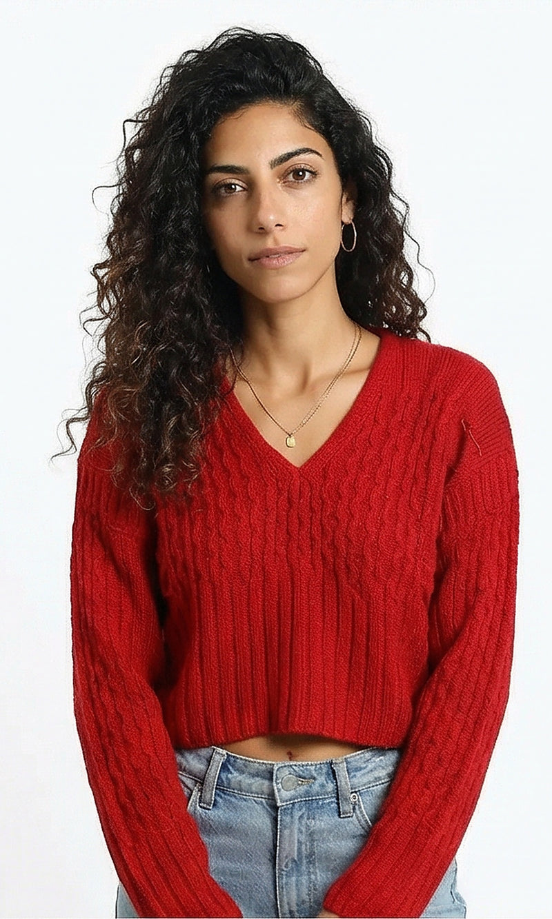 R214953-W25W484-RED (WPL)