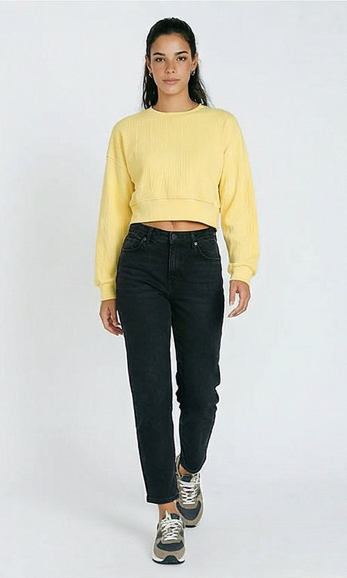 R215299-W25W416-YELLOW (WSW)