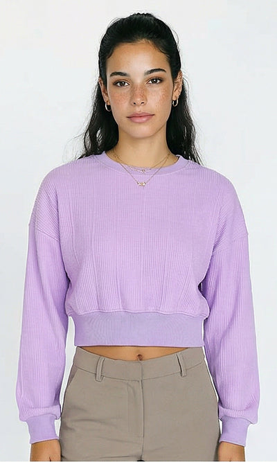Casual Self Striped Cropped Sweatshirt - Light Purple