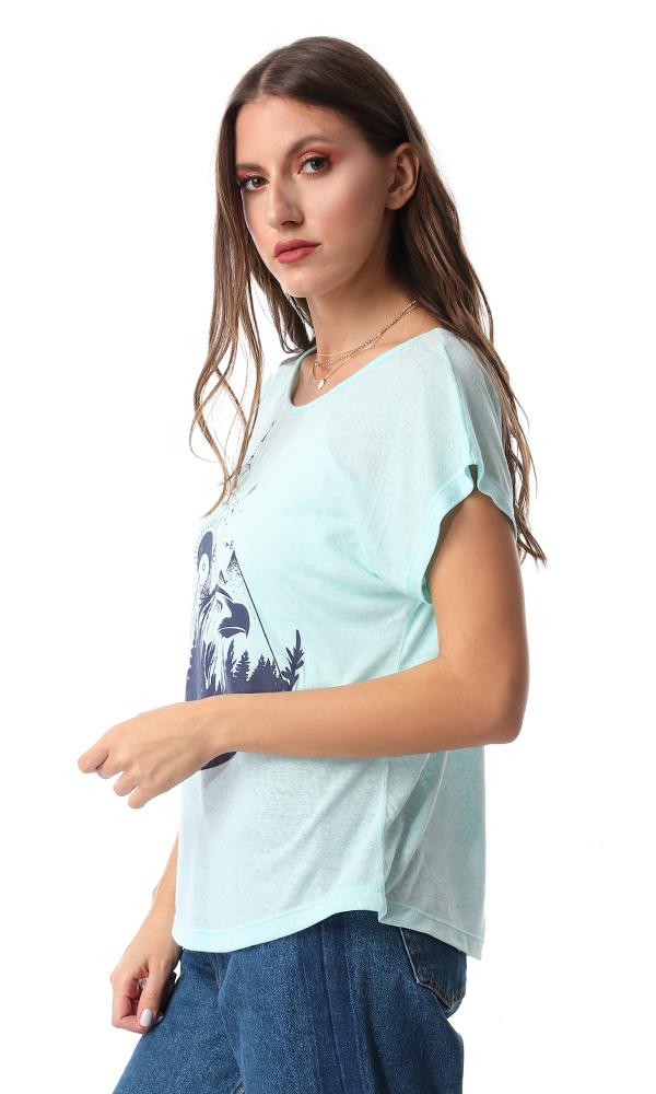 54127 Compass Deep Printed Heather Mint Green Tee - Ravin 