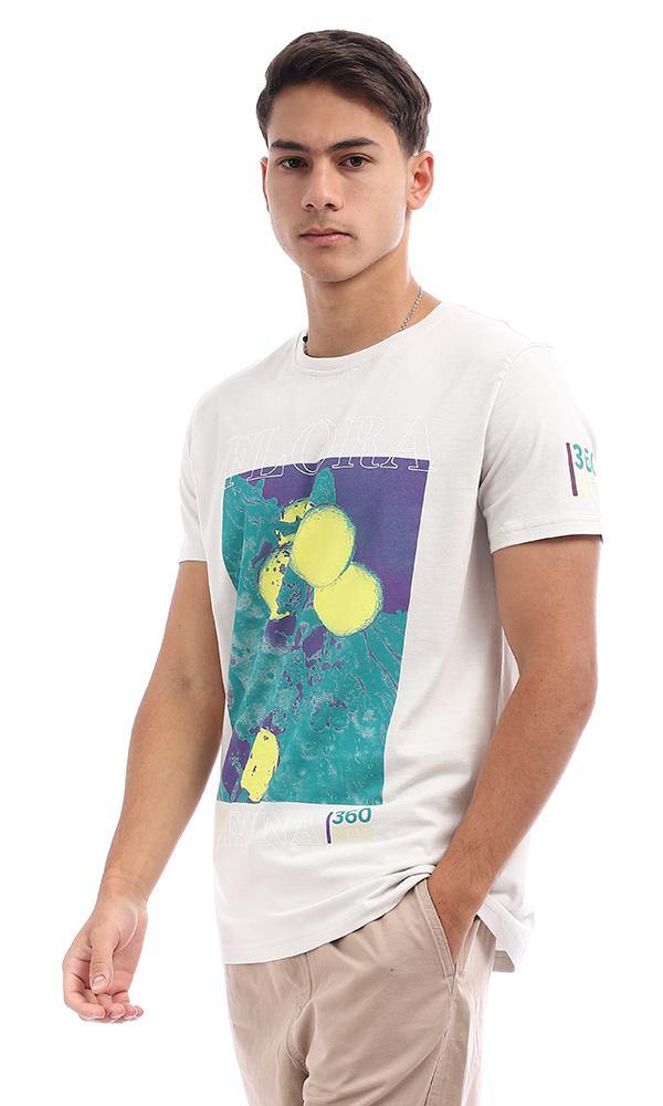 95761 Pale Grey Colorful Print Crew Neck Tee - Ravin 